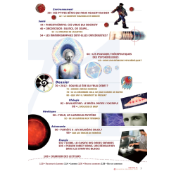 P3 N° 71 (nov.-déc. 2010)